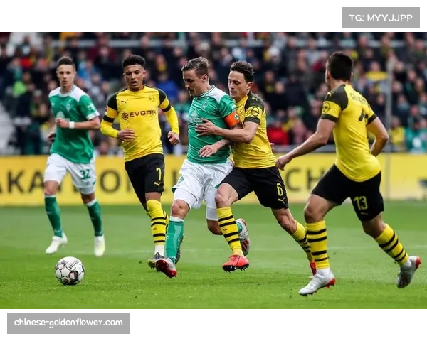 多特蒙德创新推出虚拟现实观赛模式让德甲球迷身临其境体验比赛魅力